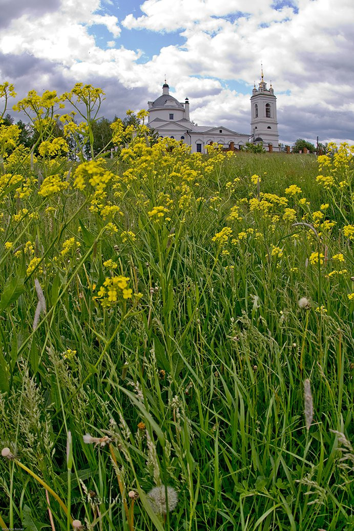 Природа в Константиново, Россия – фотографии России