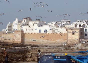 Эссувейра, Марокко, фото № 8801 – фотографии Марокко