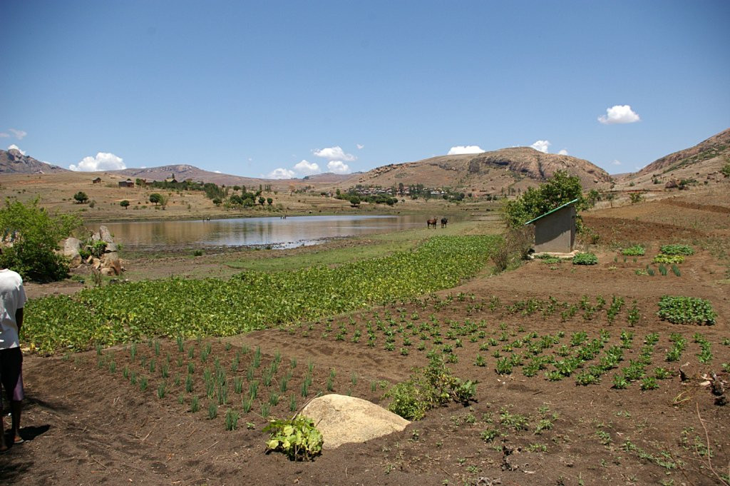 Мадагаскар, фото № 2199 – фотографии Мадагаскара