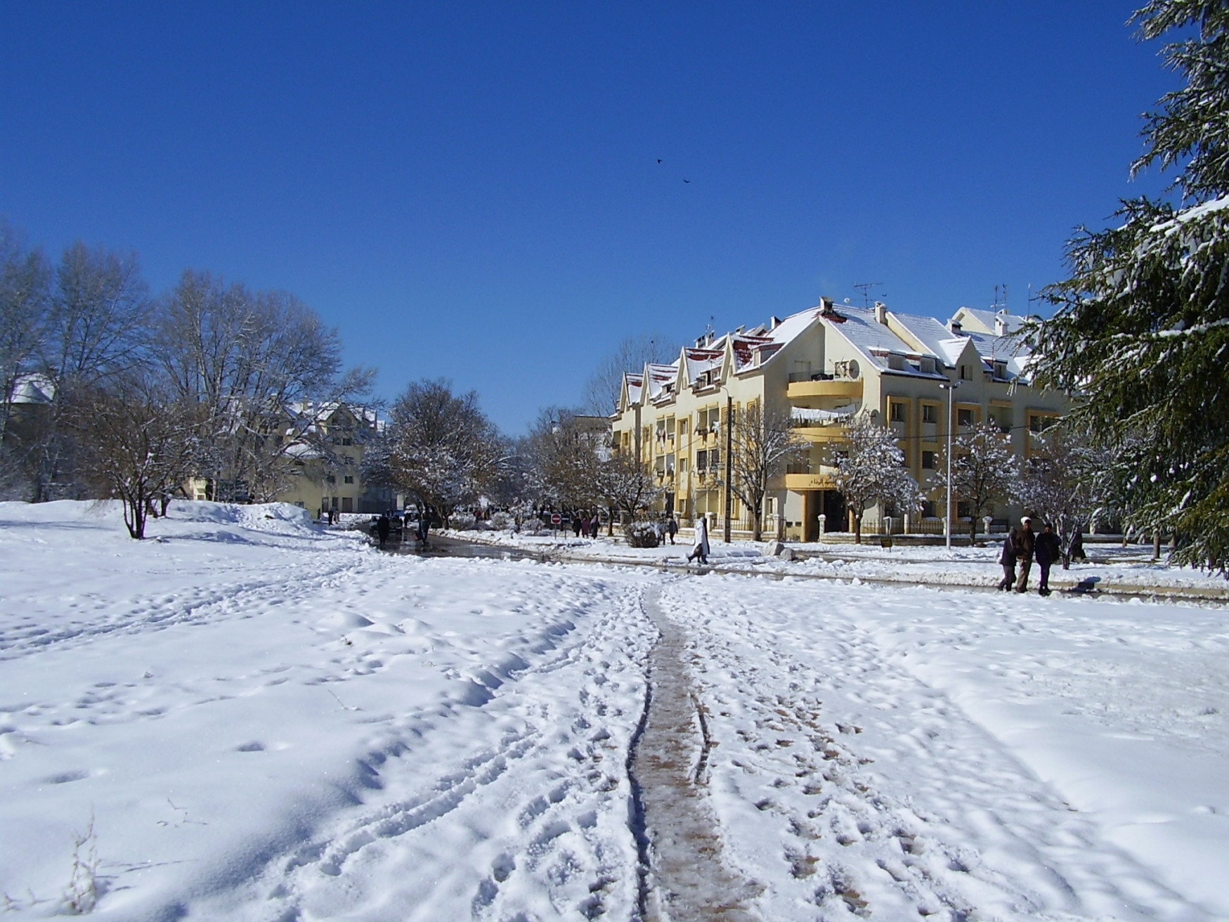 Ифран, Марокко, фото № 7493 – фотографии Марокко