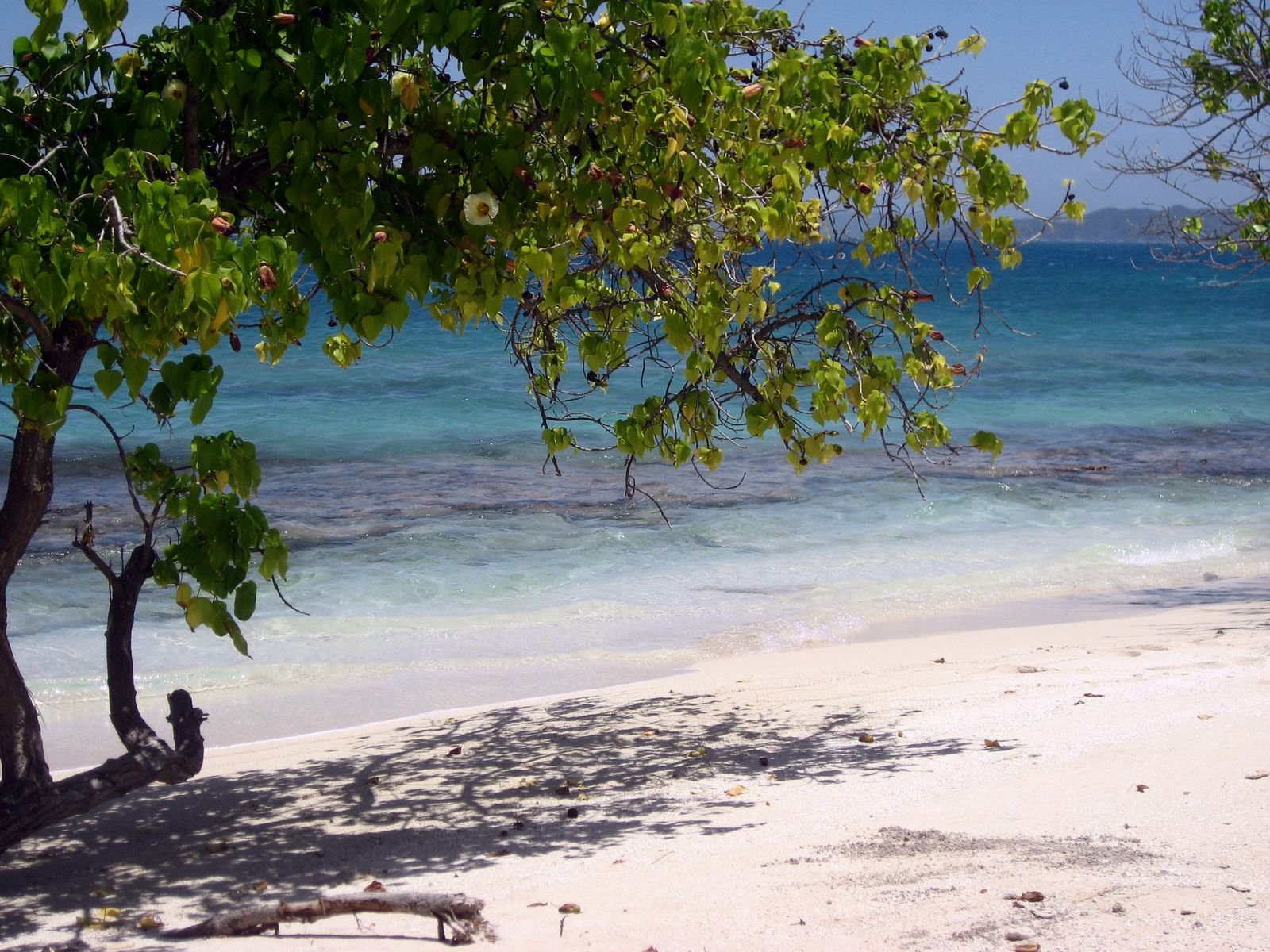 Пляж в Лайм Кей, Ямайка. Фото 9 – фотографии Ямайки