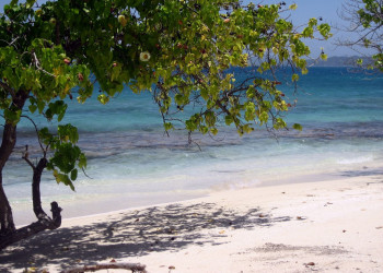 Пляж в Лайм Кей, Ямайка. Фото 9 – фотографии Ямайки