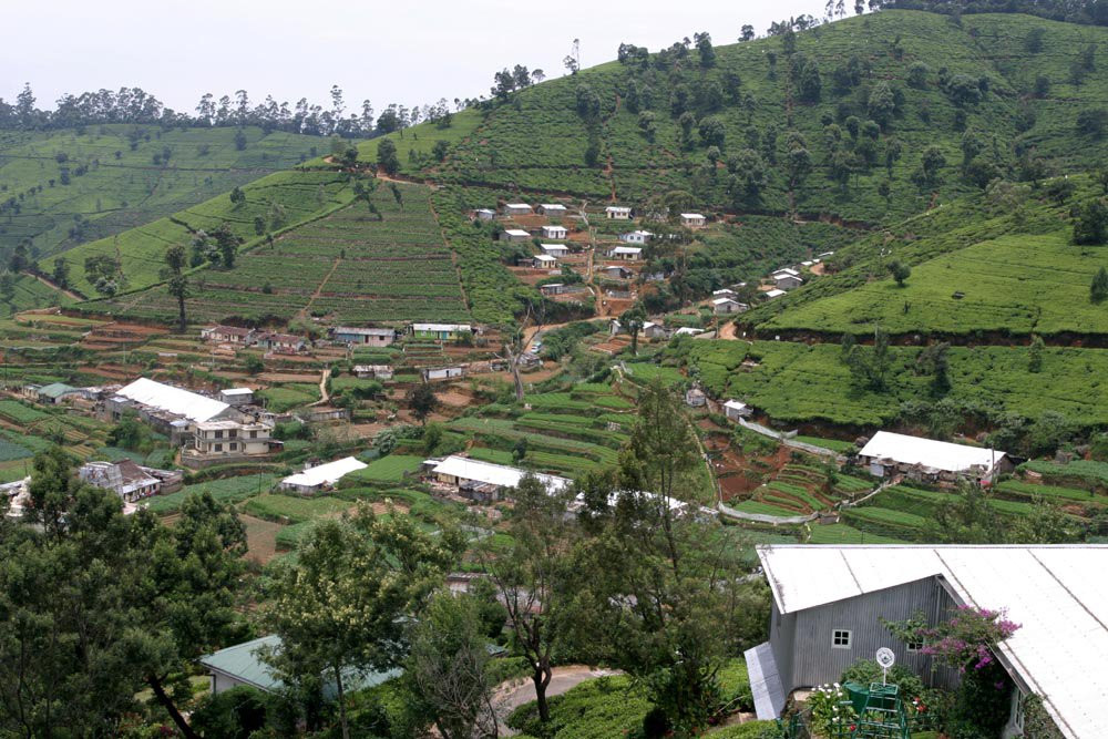 Нувара Элия, Шри-Ланка, фото № 52041 – фотографии Шри-Ланки