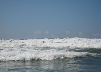 Плайя Носара, Гуанакасте провинция, Коста-Рика, фото № 39630 – фотографии Коста-Рики