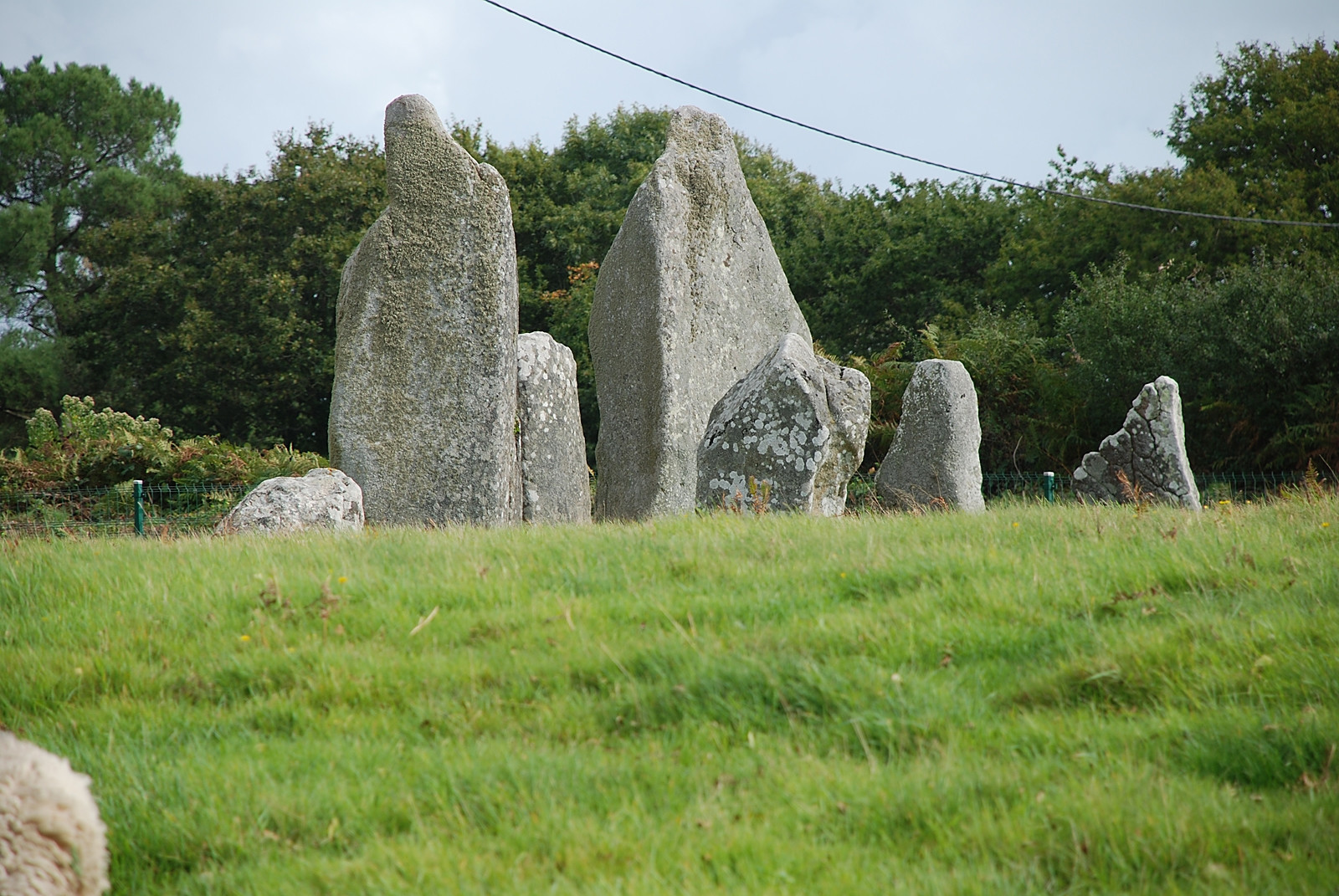 Природа в Карнаке, Франция. Фото 8 – фотографии Франции