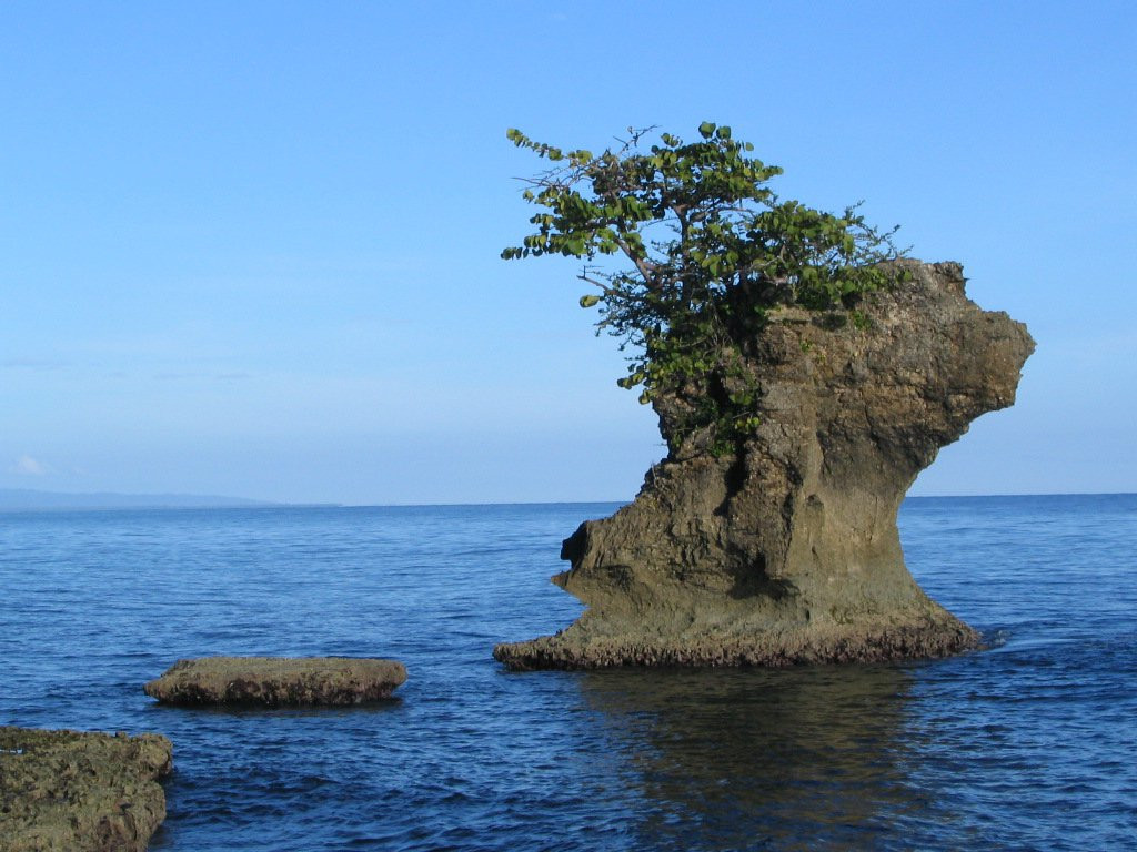 Манзанилло, Лимон провинция, Коста-Рика, фото № 40117 – фотографии Коста-Рики