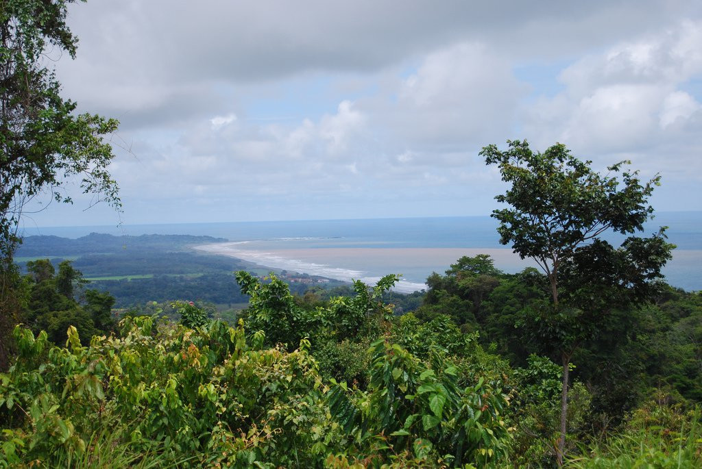 Хако, Пунтаренас провинция, Коста-Рика, фото № 41152 – фотографии Коста-Рики