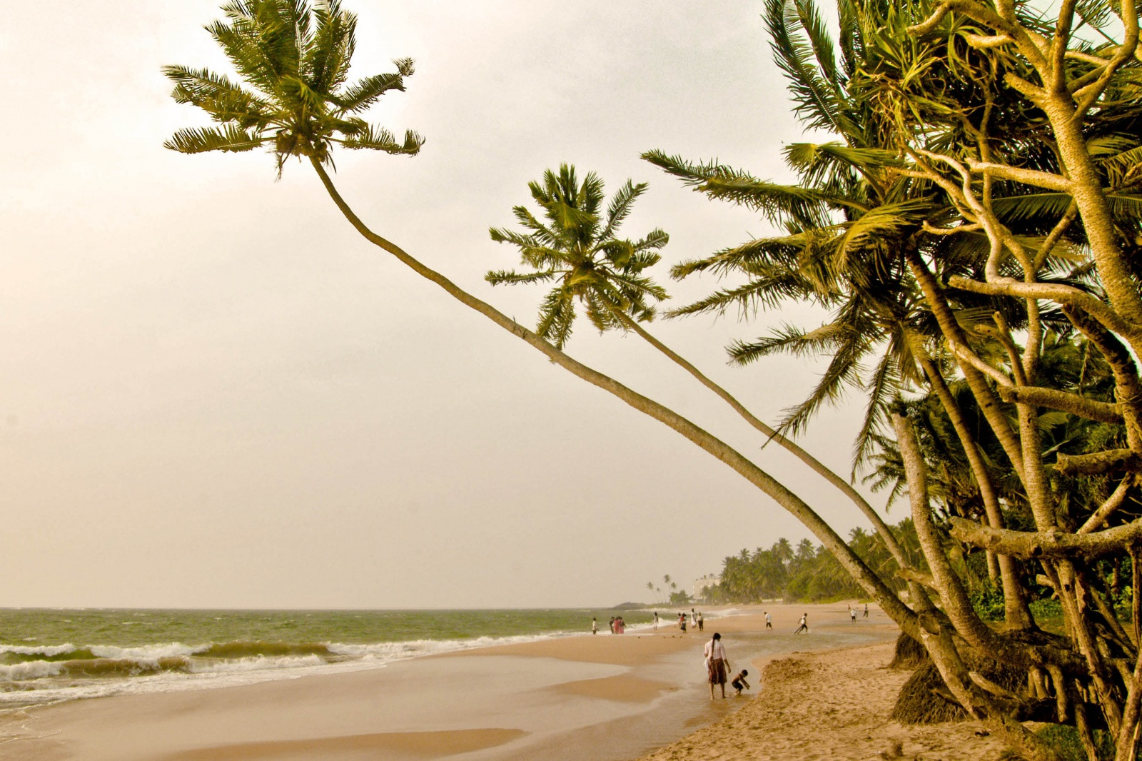 Пляж Индурува (Induruwa) на Шри-Ланке – фотографии Шри-Ланки