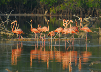 Мерида, Мексика, фото № 43733 – фотографии Мексики