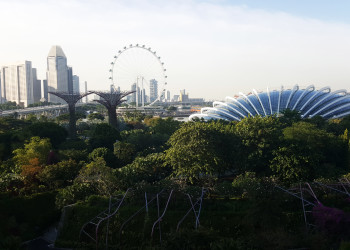 Сады у Залива (Gardens by the Bay). Фото 2 – фотографии Сингапура