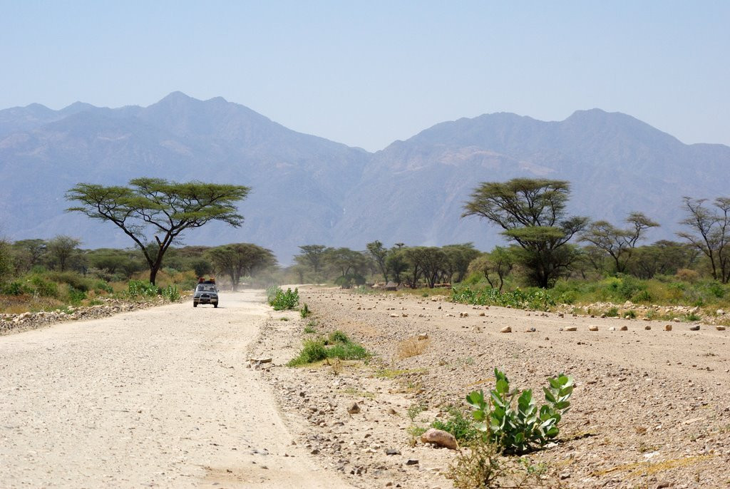 Саванна в Эфиопии. Фото 1 – фотографии Эфиопии