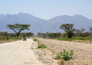 Саванна в Эфиопии. Фото 1 – фотографии Эфиопии