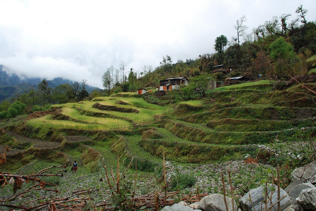Аннапурна заповедник, Непал, фото № 78882 – фотографии Непала