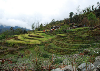Аннапурна заповедник, Непал, фото № 78882 – фотографии Непала