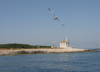 Берега в Национальном парке, Хорватия. Фото 5 – фотографии Хорватии
