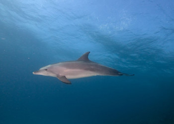 Хургада, Египет, фото № 35502 – фотографии Египта