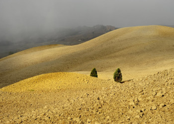 Тоскана, Италия, фото № 77962 – фотографии Италии