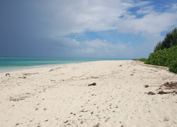 Пляж на острове Денис. Фото 4 – фотографии Сейшельских островов