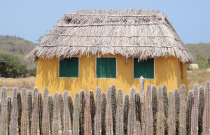 Ринкон, Бонайре остров, Карибские Нидерланды, фото № 76707 – фотографии Карибских Нидерландов