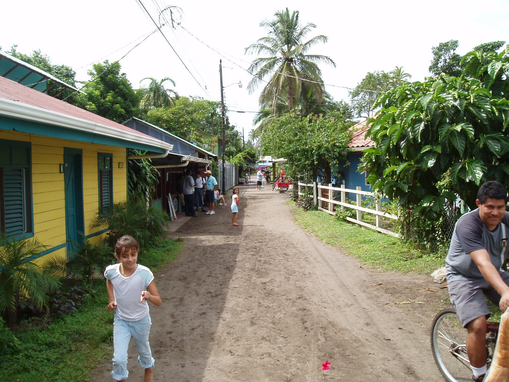 Тортугеро, Лимон провинция, Коста-Рика, фото № 40303 – фотографии Коста-Рики