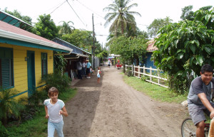 Тортугеро, Лимон провинция, Коста-Рика, фото № 40303 – фотографии Коста-Рики