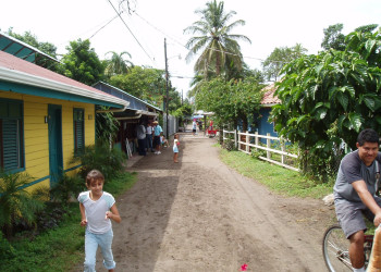 Тортугеро, Лимон провинция, Коста-Рика, фото № 40303 – фотографии Коста-Рики