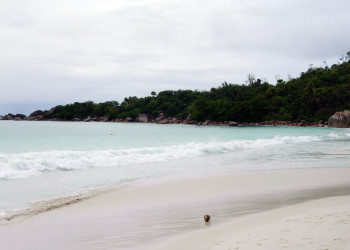 Остров Праслин, Сейшелы. Фото 8 – фотографии Сейшельских островов