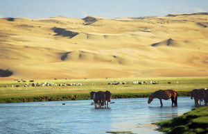 Монголия, фото № 3874 – фотографии Монголии