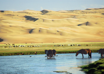 Монголия, фото № 3874 – фотографии Монголии