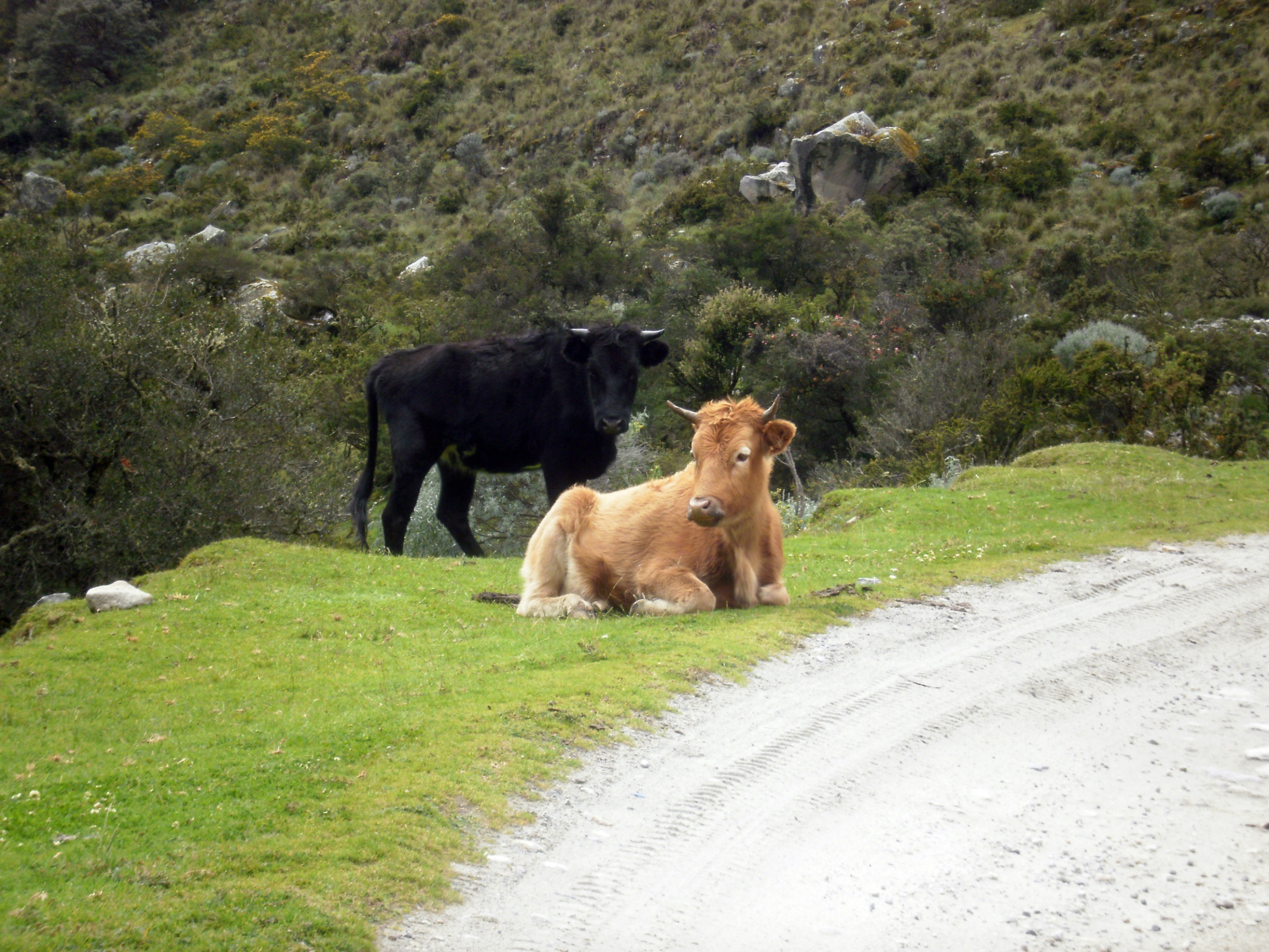 Национальный парк Уаскаран – фотографии Перу