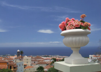 Ла-Оротава, Тенерифе остров, Канарские острова, фото № 33317 – фотографии Канарских островов