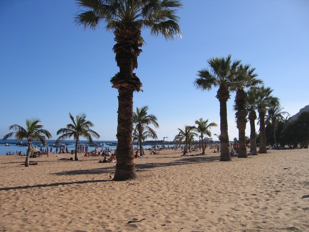 Сан-Андрес, Тенерифе остров, Канарские острова, фото № 33780 – фотографии Канарских островов