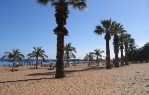 Сан-Андрес, Тенерифе остров, Канарские острова, фото № 33780 – фотографии Канарских островов