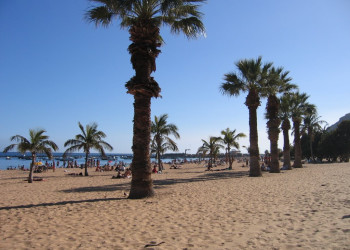 Сан-Андрес, Тенерифе остров, Канарские острова, фото № 33780 – фотографии Канарских островов