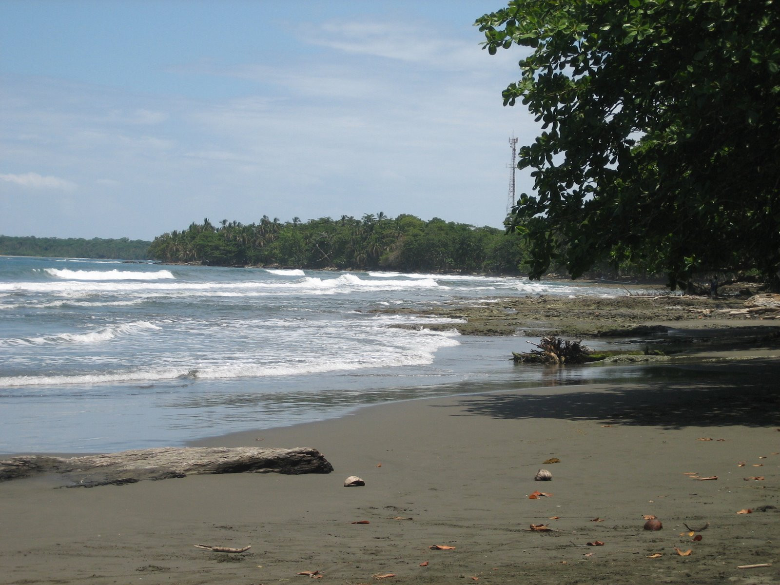 Кауита, Лимон провинция, Коста-Рика, фото № 40062 – фотографии Коста-Рики