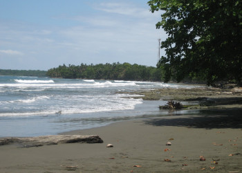 Кауита, Лимон провинция, Коста-Рика, фото № 40062 – фотографии Коста-Рики