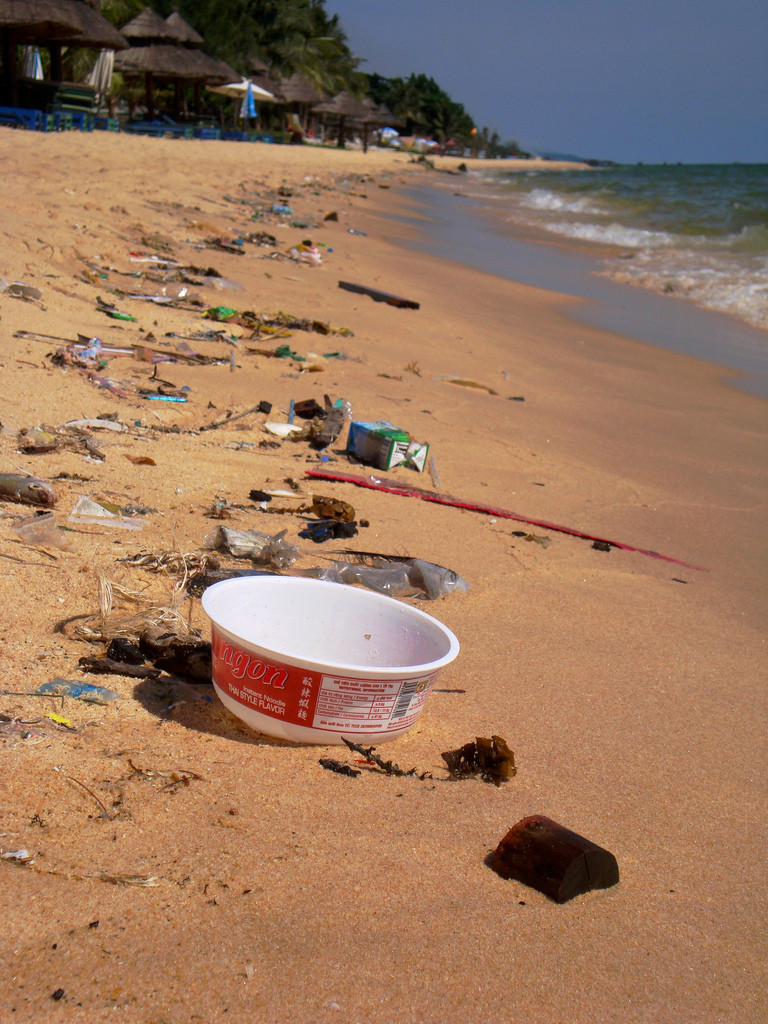 Люди конечно свиньи ещё те... – фотографии Вьетнама