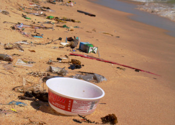 Люди конечно свиньи ещё те... – фотографии Вьетнама