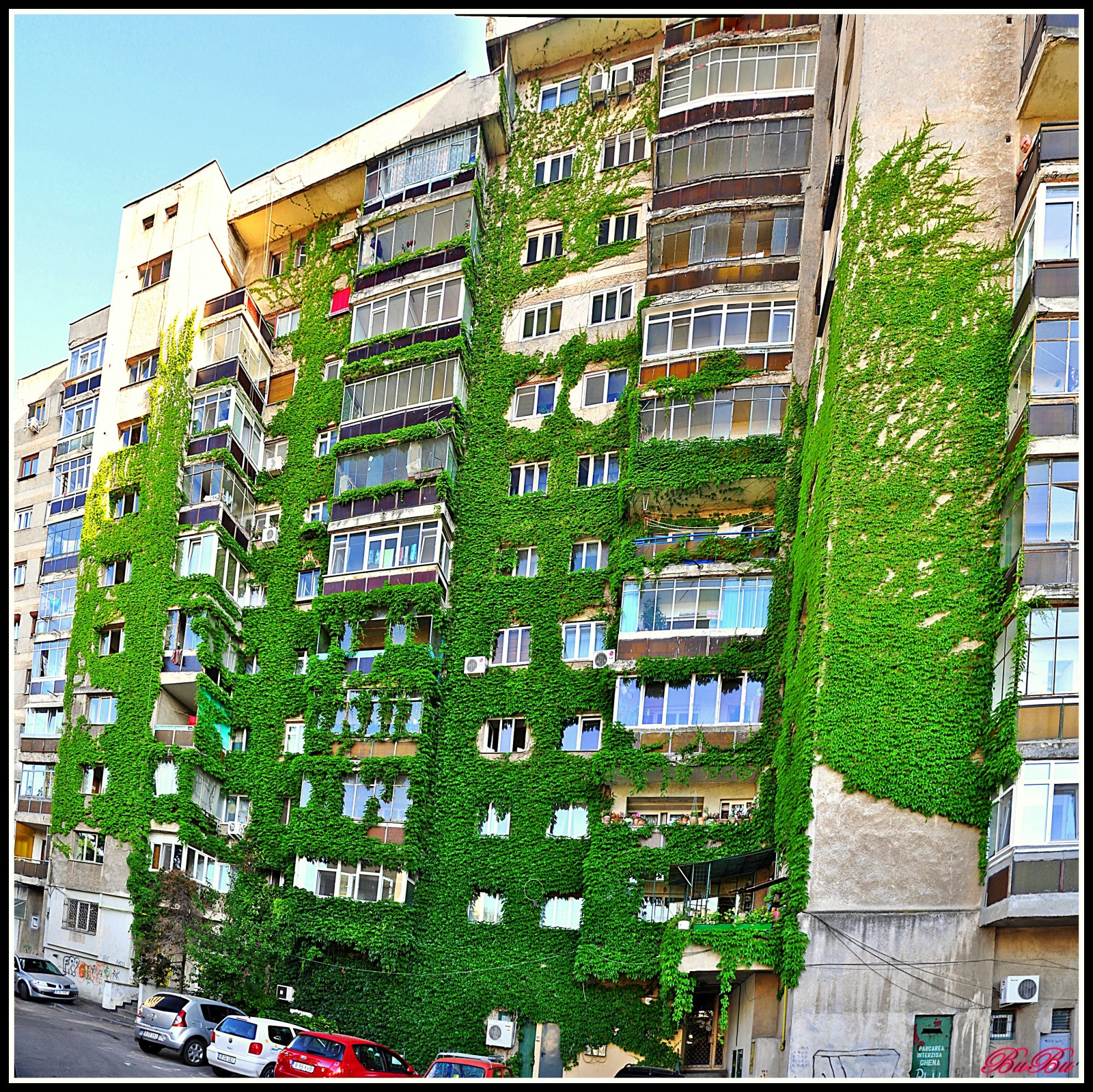 Классный зелёный в прямом смысле этого слова дом – фотографии Румынии