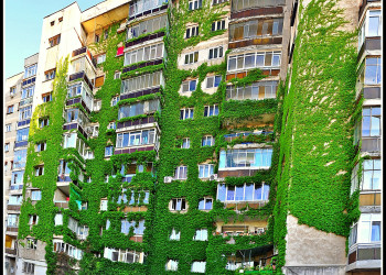 Классный зелёный в прямом смысле этого слова дом – фотографии Румынии