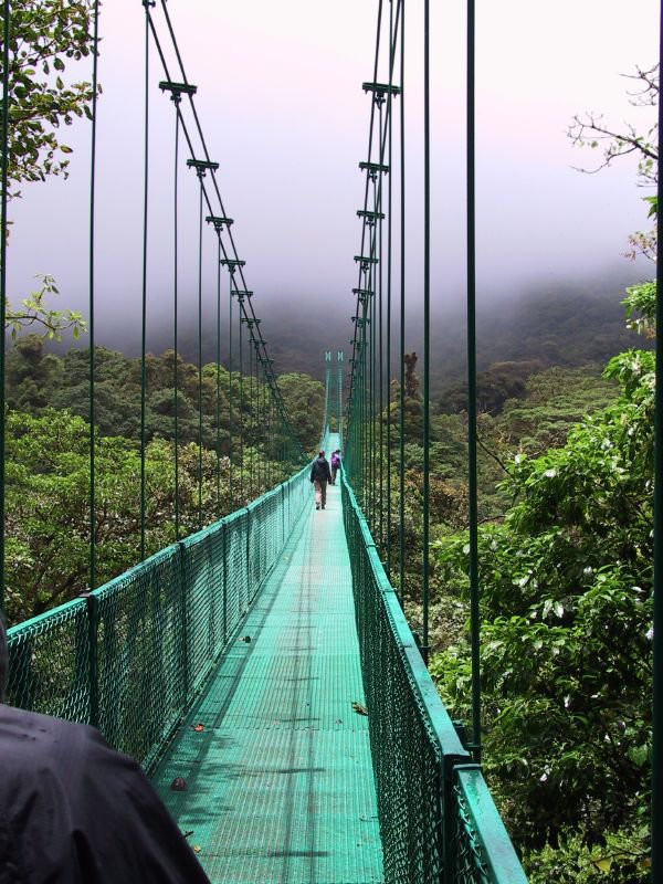 Монтеверде, Пунтаренас провинция, Коста-Рика, фото № 40725 – фотографии Коста-Рики