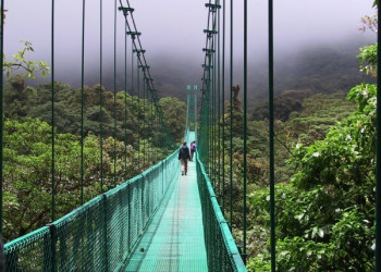 Монтеверде, Пунтаренас провинция, Коста-Рика, фото № 40725 – фотографии Коста-Рики