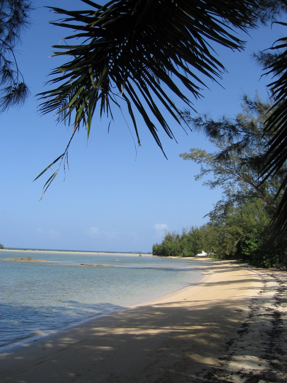 Пляж на острове Андрос, Багамские острова. Фото 1 – фотографии Багамских островов