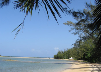 Пляж на острове Андрос, Багамские острова. Фото 1 – фотографии Багамских островов