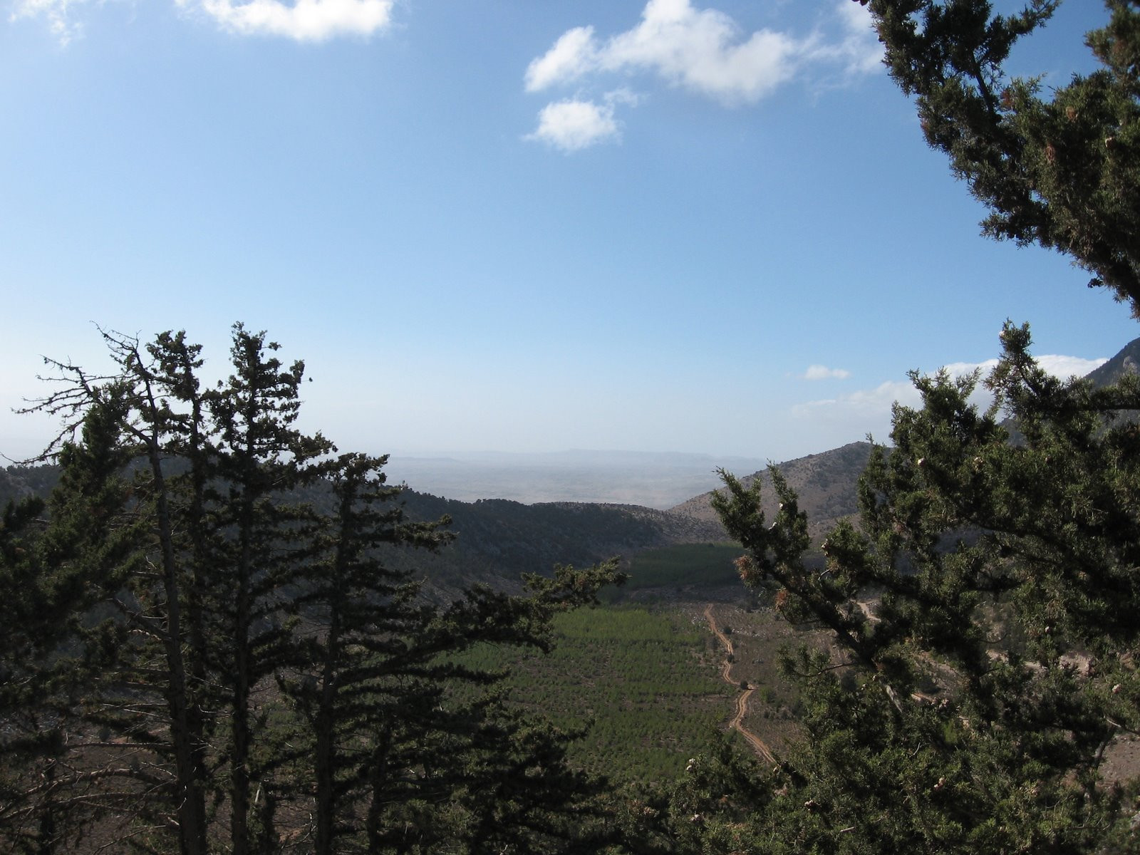 Кипр, фото № 752 – фотографии Кипра