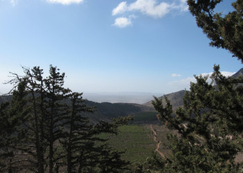 Кипр, фото № 752 – фотографии Кипра