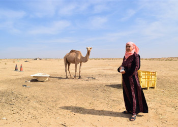 Пустыня Негев, Израиль – фотографии Израиля