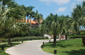 Небольшой частный остров Пэррот-Кей (Тёркс и Кайкос) – фотографии Тёркс и Кайкос