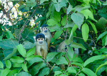 Боливия, фото № 2974 – фотографии Боливии