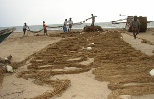 Калутара, Шри-Ланка, фото № 51258 – фотографии Шри-Ланки